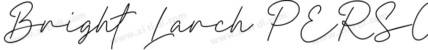 Bright Larch PERSONA字体转换 Bright Larch PERSONA字体转换